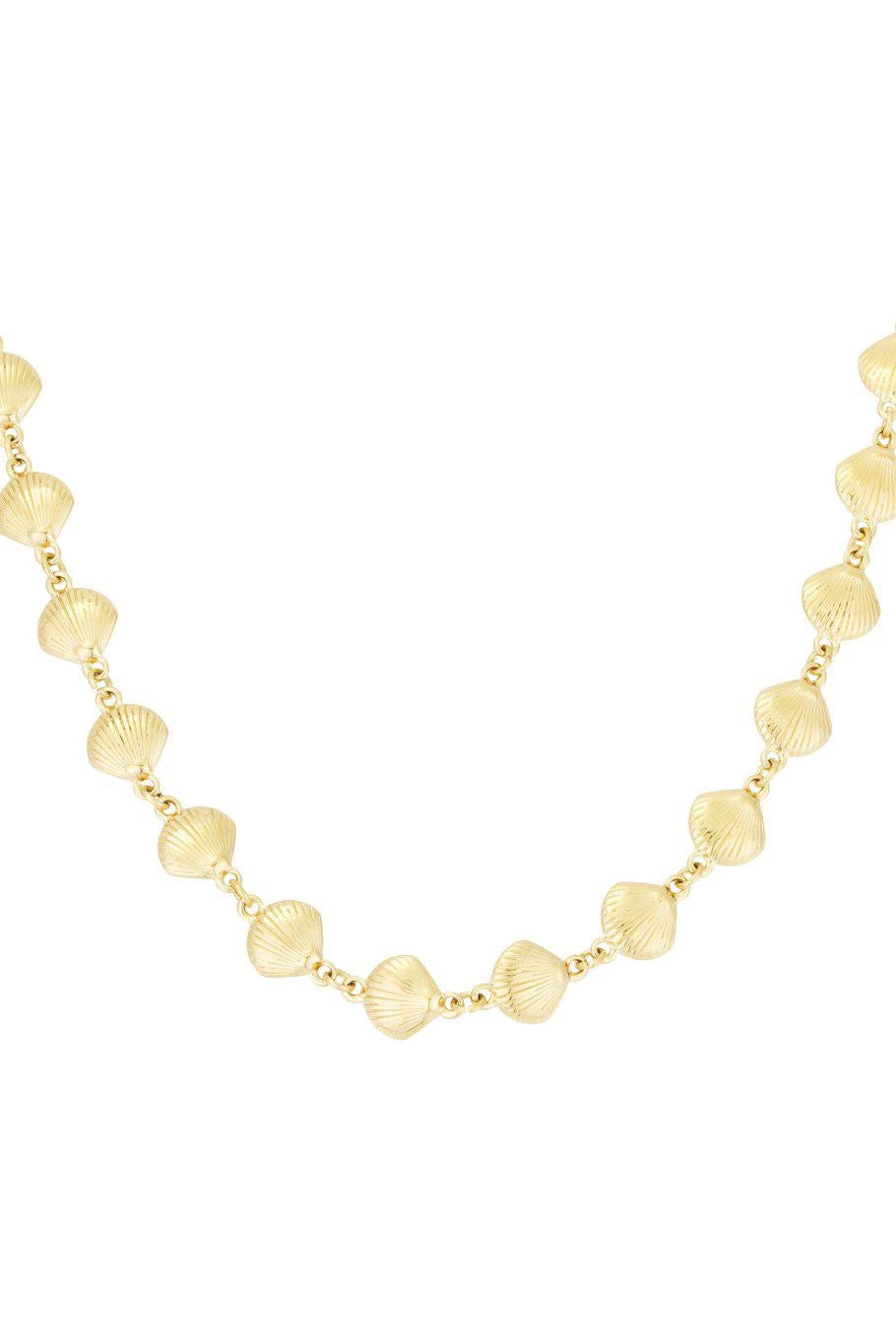 Full schelp ketting goud